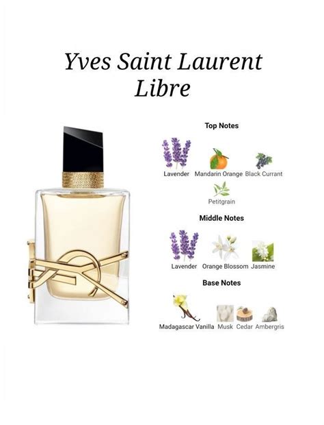 ysl edp notes|YSL y edp top notes.